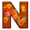 🍂