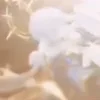 🤩