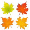 🍂