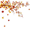 🍂