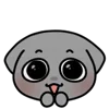 ⭐
