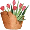 🌷
