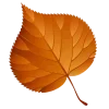 🍂