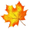 🍂