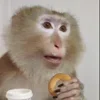 😧