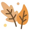 🍂
