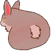 🐇