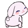 🐰