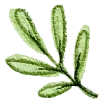 🌿