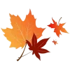 🍂