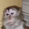 😢