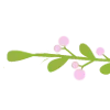 🌿