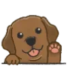 🐶