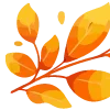 🍁