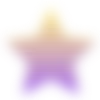 ⭐️