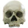 💀