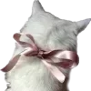 🎀