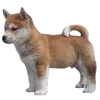 🐶