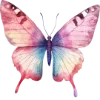 🦋