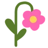 🌷