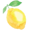🍋