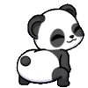 🐼