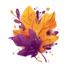 🍁