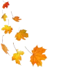 🍂