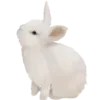 🐰