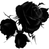 🖤