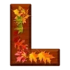 🍂