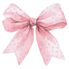 🎀