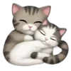 🐈