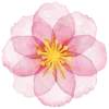 🌸