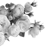 🌹