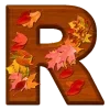 🍂