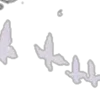 🌑