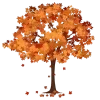 🍂
