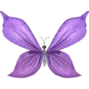 🦋