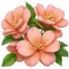 💐