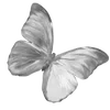 🦋
