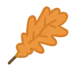🍁
