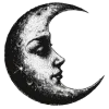 🌙
