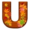 🍂