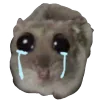 😭