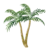 🌴