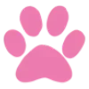 🐱