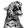 🐯