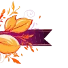 🍁