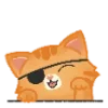 🐱